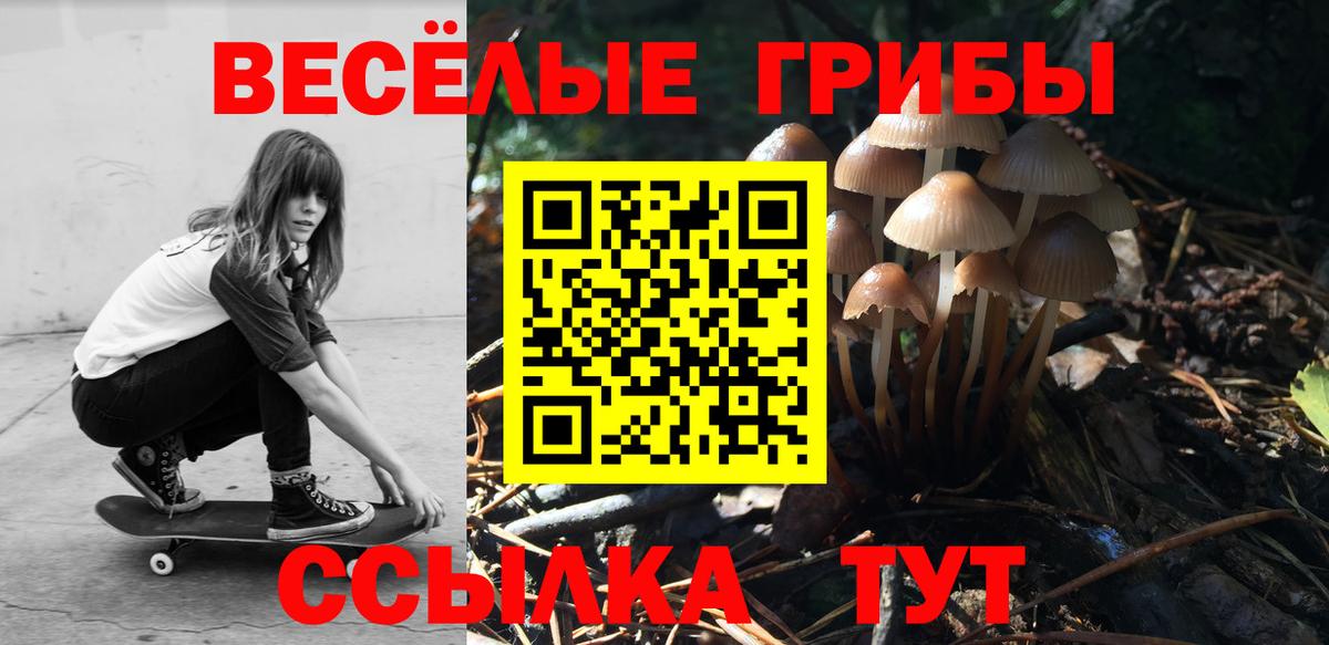 Галлюциногенные грибы мухоморы Семилуки
