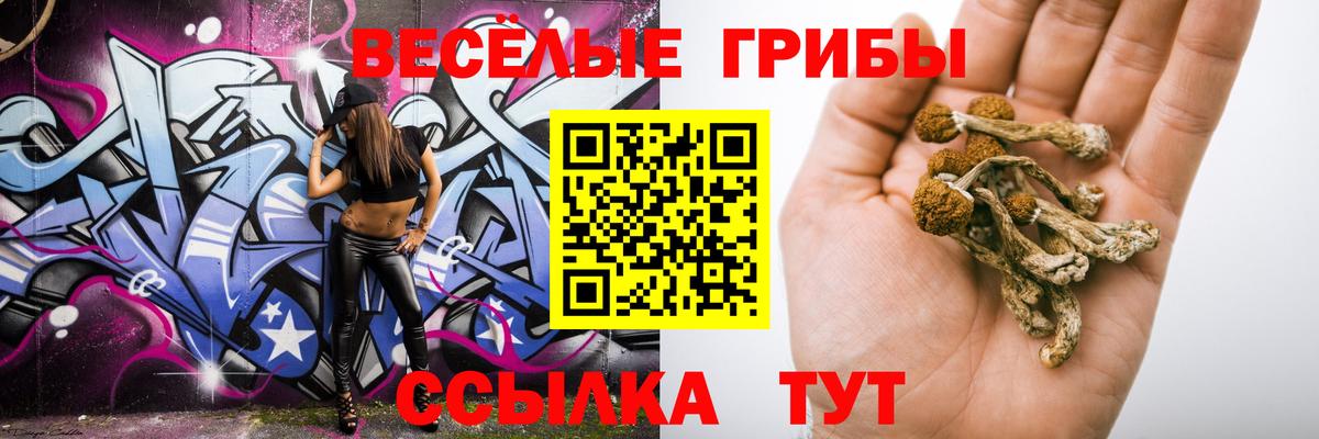 Семилуки  Псилоцибиновые грибы Cubensis  Вход с VPN  Псилоцибиновые грибы Magic Shrooms 